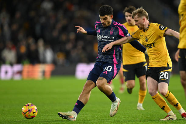 这意味着 这意味着